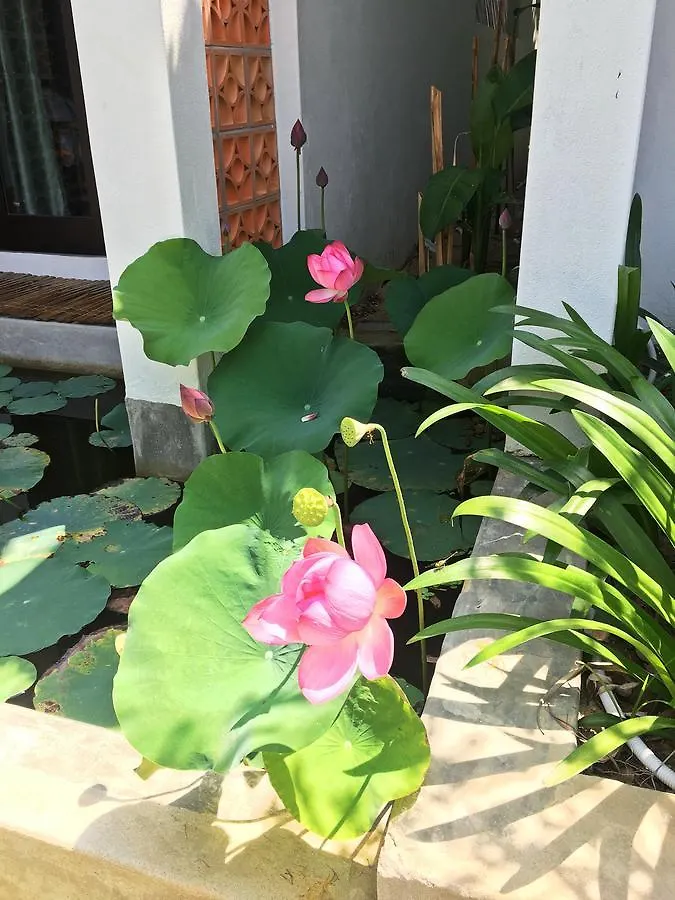 Home Farm Villa Hoi An 0*,